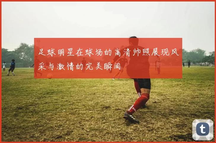 足球明星在球场的高清帅照展现风采与激情的完美瞬间