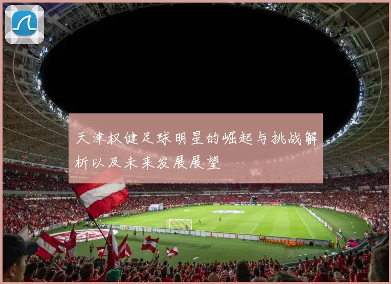 天津权健足球明星的崛起与挑战解析以及未来发展展望