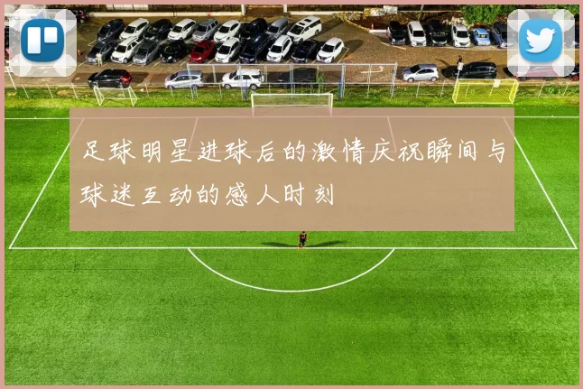 足球明星进球后的激情庆祝瞬间与球迷互动的感人时刻