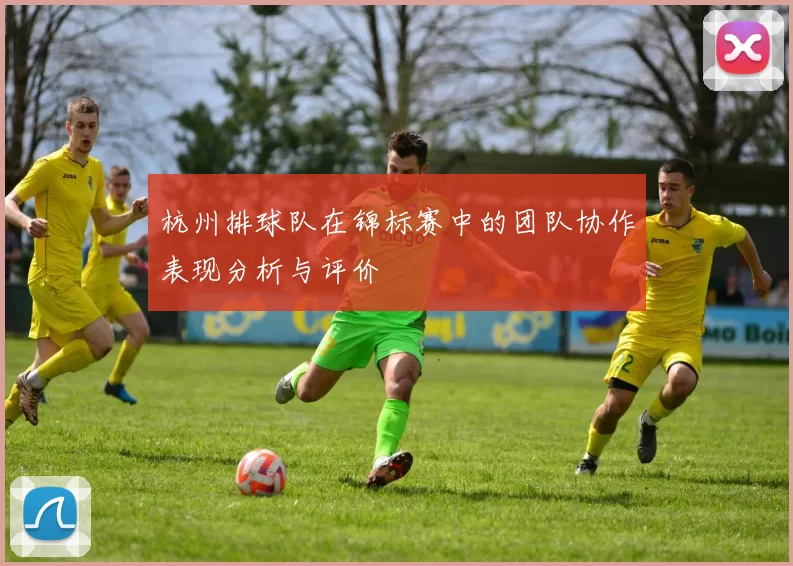 杭州排球队在锦标赛中的团队协作表现分析与评价