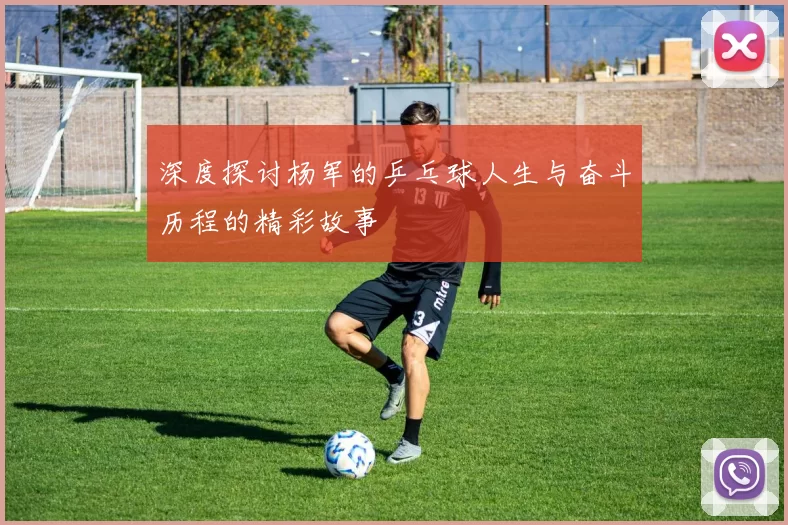 深度探讨杨军的乒乓球人生与奋斗历程的精彩故事