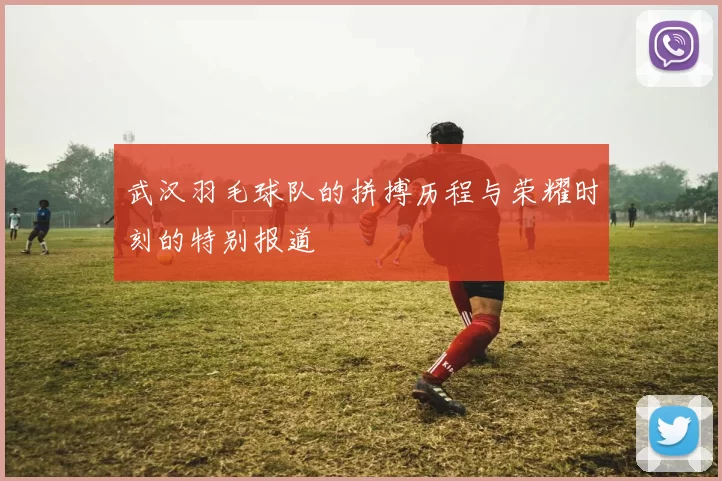 武汉羽毛球队的拼搏历程与荣耀时刻的特别报道