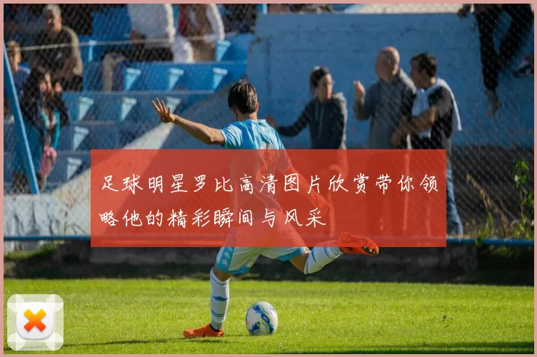 足球明星罗比高清图片欣赏带你领略他的精彩瞬间与风采