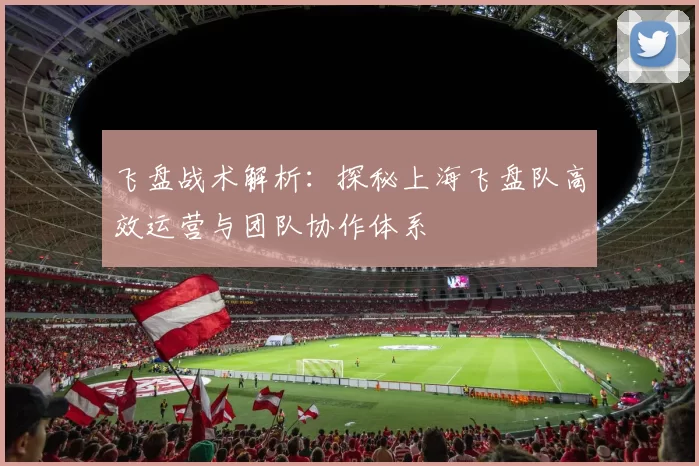 飞盘战术解析：探秘上海飞盘队高效运营与团队协作体系