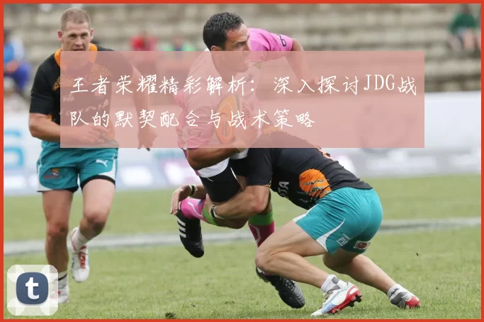 王者荣耀精彩解析：深入探讨JDG战队的默契配合与战术策略