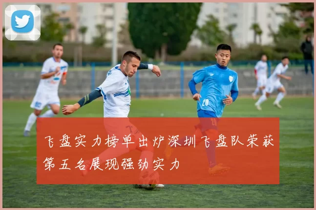 飞盘实力榜单出炉深圳飞盘队荣获第五名展现强劲实力