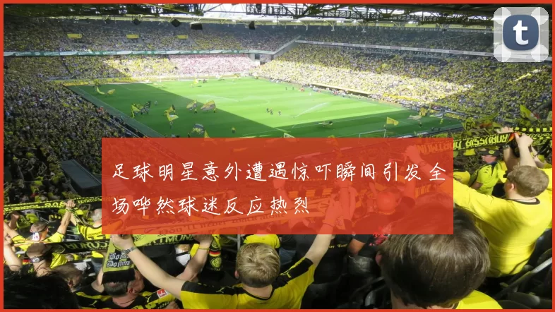 足球明星意外遭遇惊吓瞬间引发全场哗然球迷反应热烈