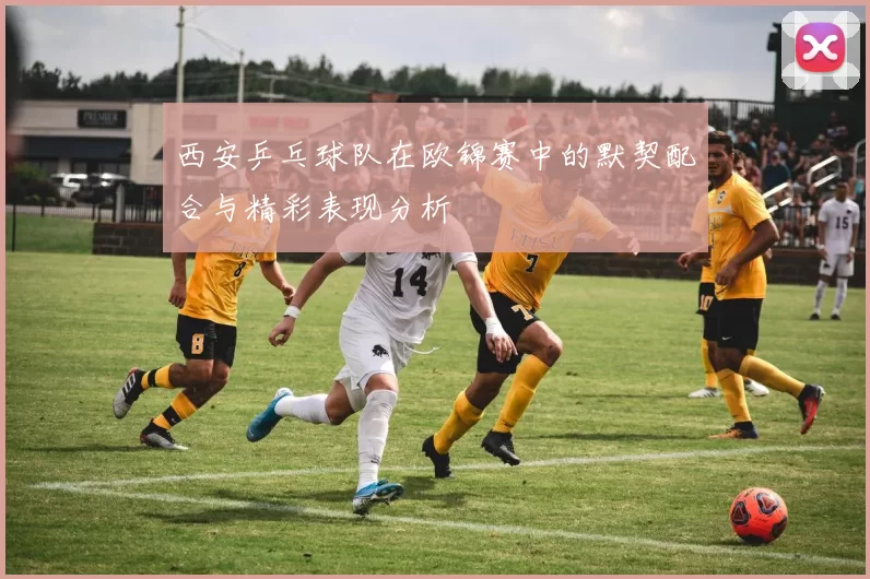 西安乒乓球队在欧锦赛中的默契配合与精彩表现分析
