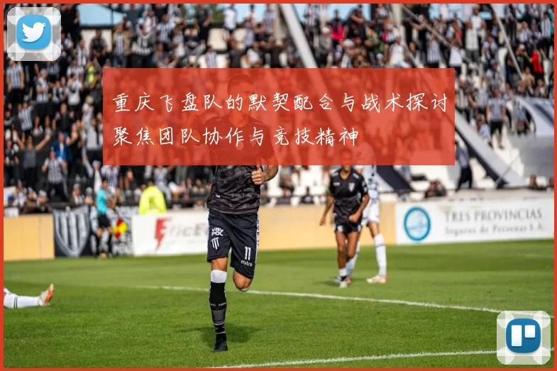 重庆飞盘队的默契配合与战术探讨聚焦团队协作与竞技精神
