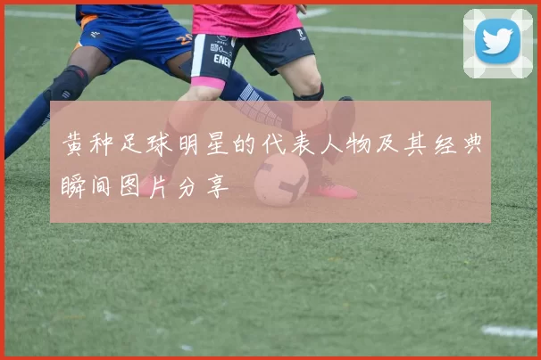 黄种足球明星的代表人物及其经典瞬间图片分享