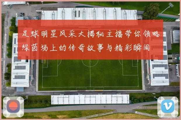 足球明星风采大揭秘主播带你领略绿茵场上的传奇故事与精彩瞬间