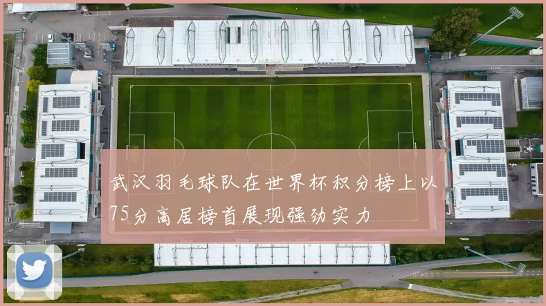 武汉羽毛球队在世界杯积分榜上以75分高居榜首展现强劲实力
