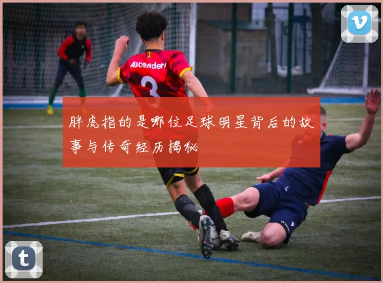 胖虎指的是哪位足球明星背后的故事与传奇经历揭秘