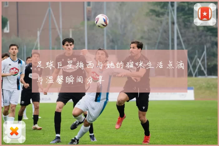 足球巨星梅西与她的猫咪生活点滴与温馨瞬间分享