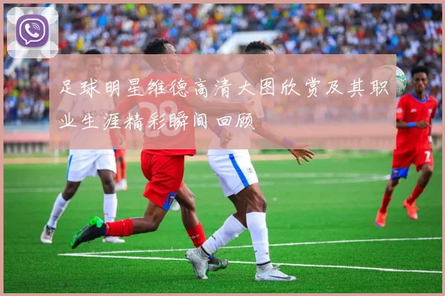 足球明星维德高清大图欣赏及其职业生涯精彩瞬间回顾
