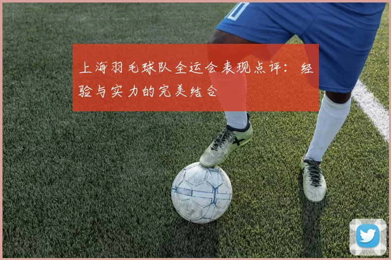 上海羽毛球队全运会表现点评：经验与实力的完美结合