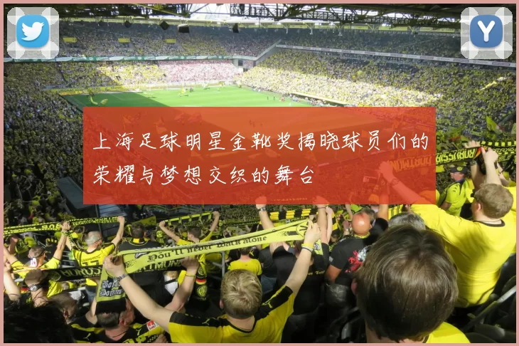 上海足球明星金靴奖揭晓球员们的荣耀与梦想交织的舞台