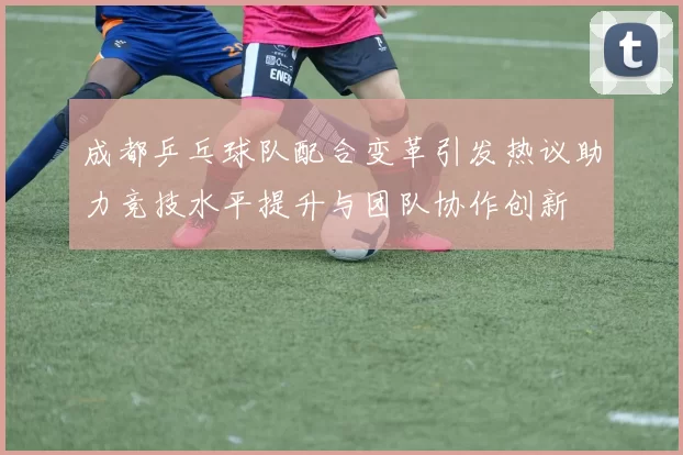 成都乒乓球队配合变革引发热议助力竞技水平提升与团队协作创新