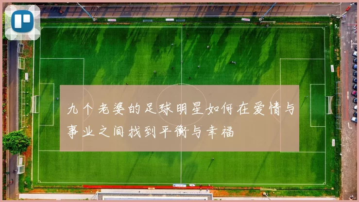 九个老婆的足球明星如何在爱情与事业之间找到平衡与幸福