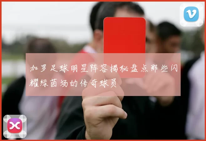 加罗足球明星阵容揭秘盘点那些闪耀绿茵场的传奇球员