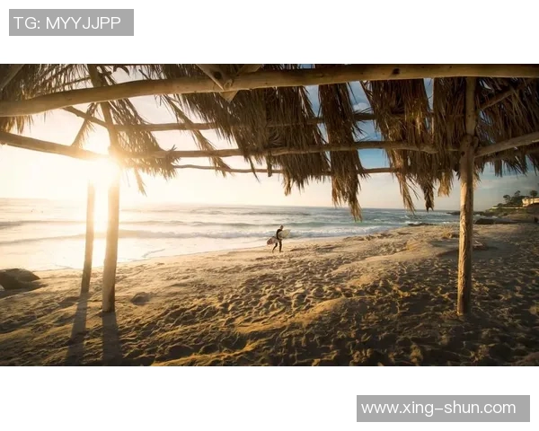 深圳极限运动队转型之路揭秘：从传统竞技到多元化发展新篇章