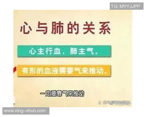 心肺功能对健康的影响与优化策略:提升体能与预防慢性病的关键因素 心肺功能对健康的影响与优化策略:提升体能与预防慢性病的关键因素
