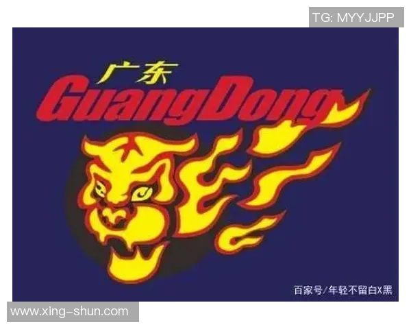 所有CBA球队队标图鉴及LOGO设计理念分享